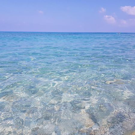 San Carlo - Terrazzo Sul Mare Con Ristorante E Pizzeria Bed and Breakfast Zambrone Buitenkant foto