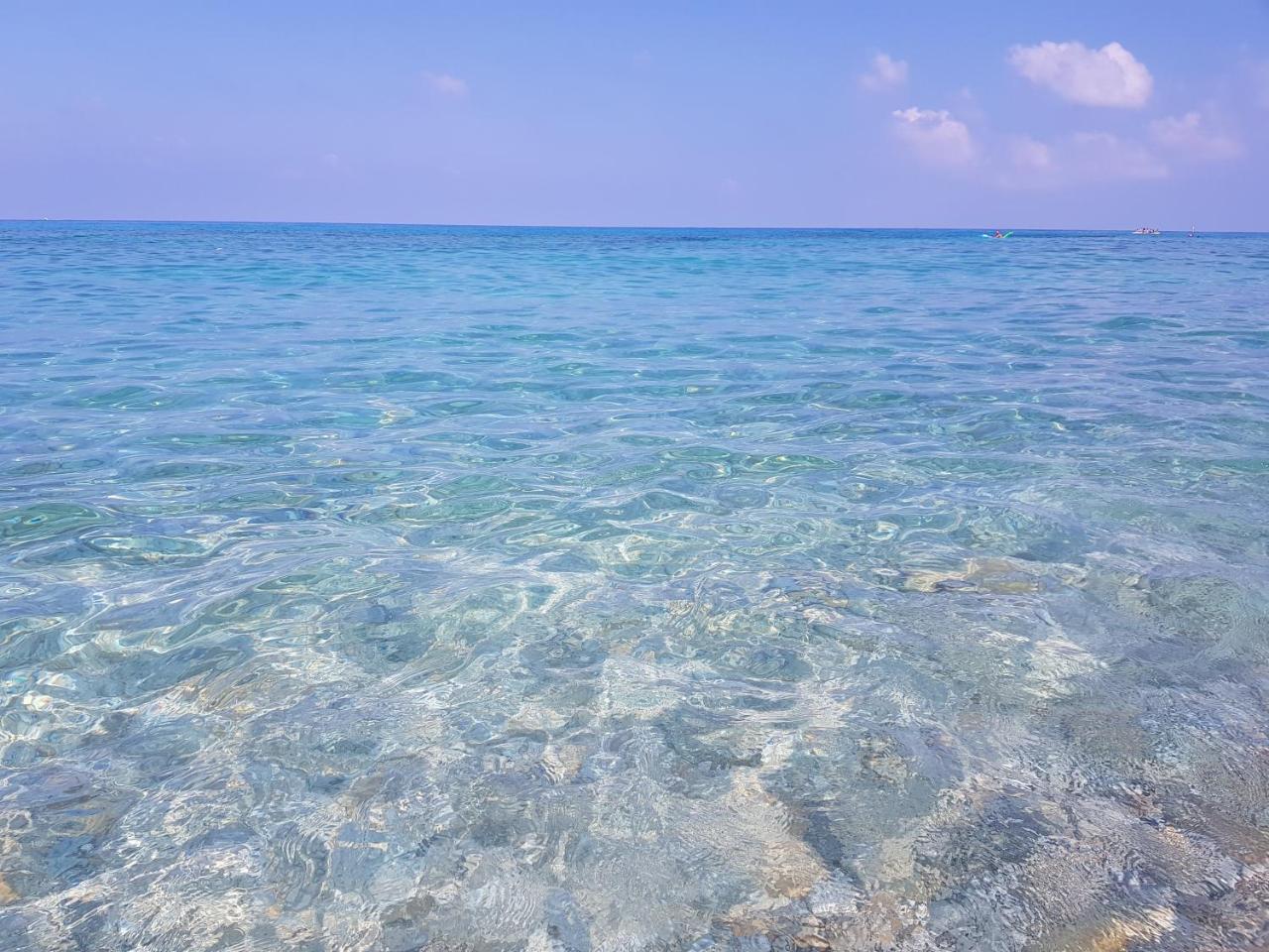 San Carlo - Terrazzo Sul Mare Con Ristorante E Pizzeria Bed and Breakfast Zambrone Buitenkant foto