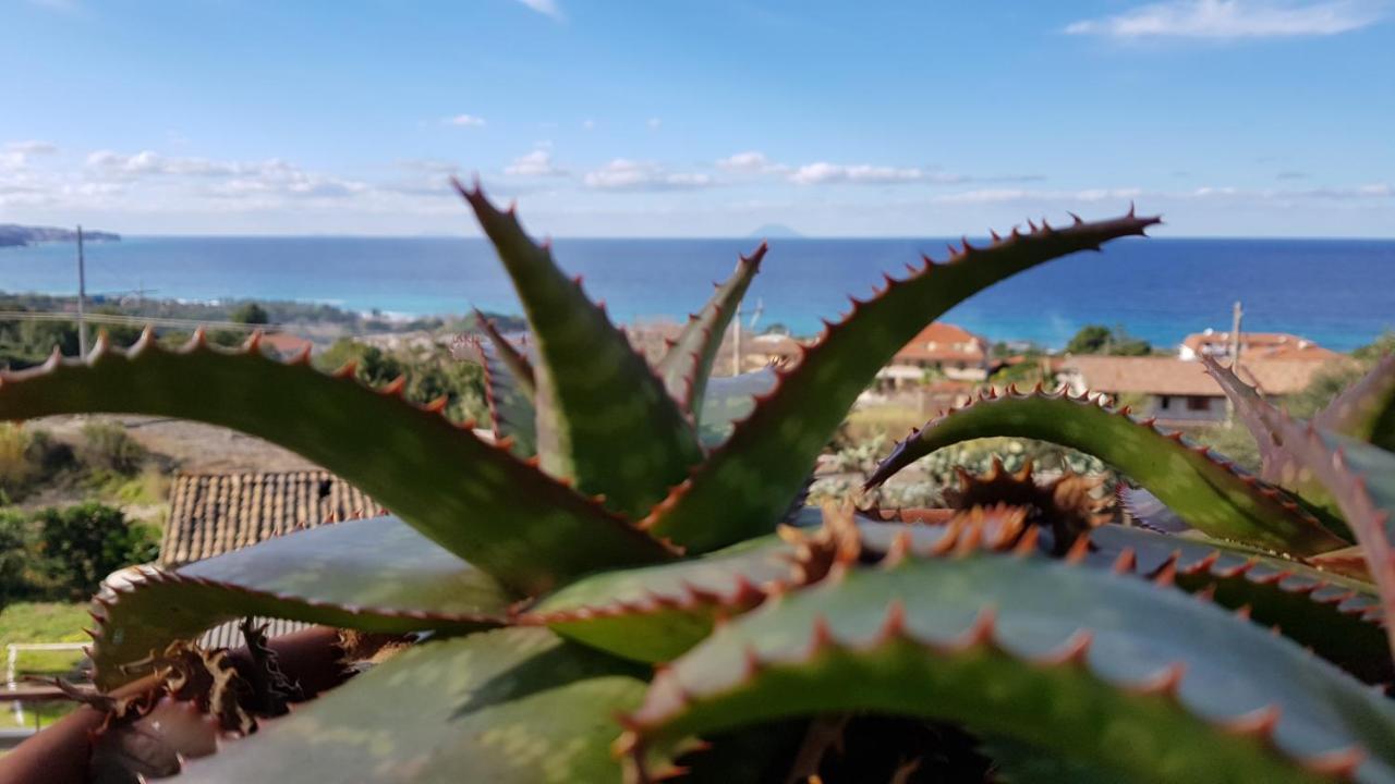 San Carlo - Terrazzo Sul Mare Con Ristorante E Pizzeria Bed and Breakfast Zambrone Buitenkant foto